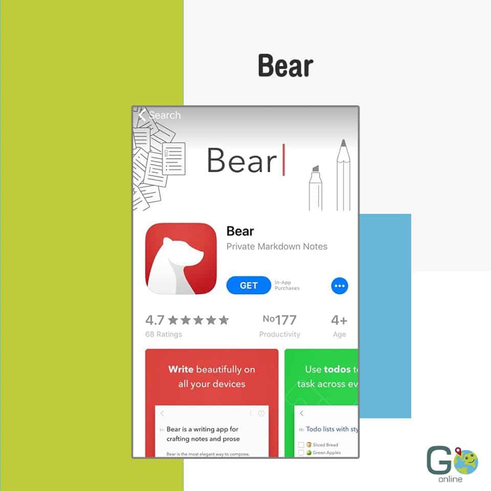 Bear